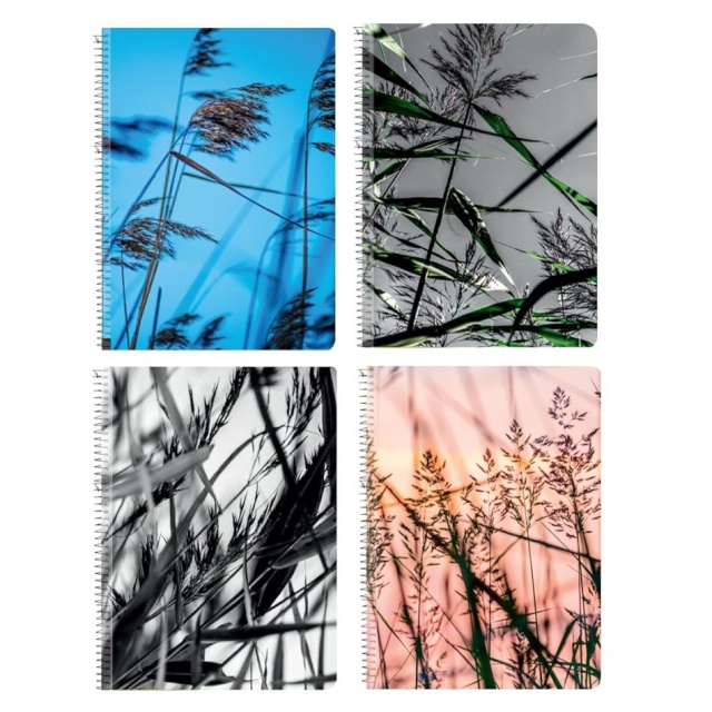 Bradley spiraalkaustik Valhalla - A4/80, ruuduline