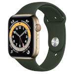 Apple Watch Series 6 GPS + Cellular, 40mm Gold Stainless Steel Case with Cactus Green Sport Band