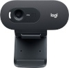 Logitech veebikaamera C505 HD Webcam