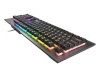 Genesis Rhod 500 Gaming keyboard, RGB LED light, US, hõbedane/must, Wired