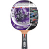Donic lauatennise reket Top Team 800 754198