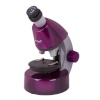 Levenhuk mikroskoop Levenhuk LabZZ M101 amethyst DE