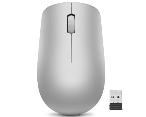 Lenovo hiir Lenovo Accessories 530 Wireless Mouse (Platinum Grey)