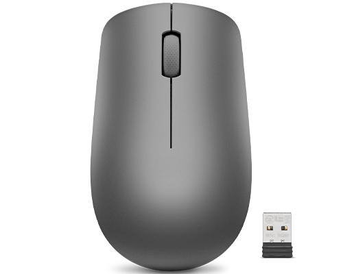 Lenovo hiir Lenovo Accessories 530 Wireless Mouse (Graphite)