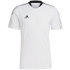 Adidas Teamwear T-särk meestele Tiro 21 Training Jersey valge GM7590 , suurus L