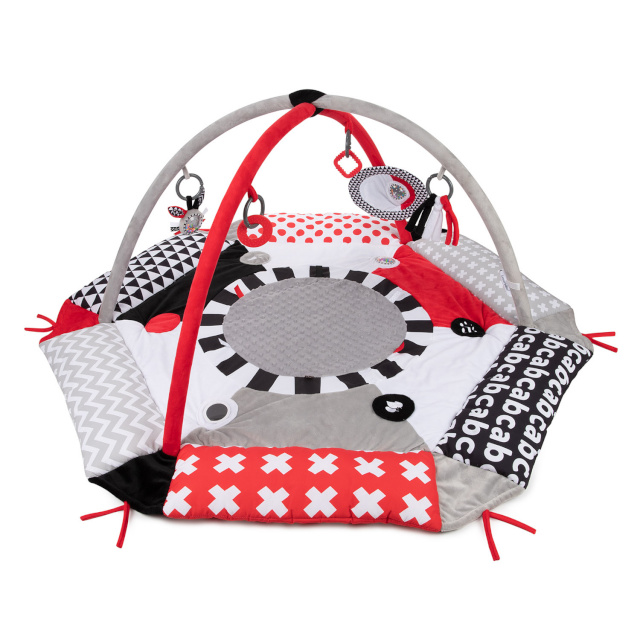 Canpol babies mängumatt SENSORY TOYS 68/077