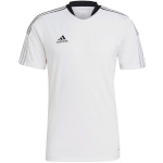 Adidas Teamwear T-särk meestele Tiro 21 Training Jersey valge GM7590 , suurus XL
