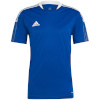 Adidas Teamwear T-särk meestele Tiro 21 Training Jersey sinine GM7589 , suurus XL