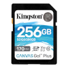 Kingston mälupulk Canvas Go! Plus 256 GB, SD, Flash memory class 10