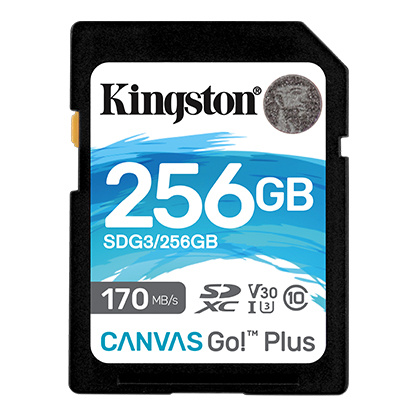 Kingston mälupulk Canvas Go! Plus 256 GB, SD, Flash memory class 10