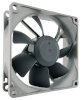 Noctua NF-R8 redux 1200 Computer case Fan 8 cm must, hall