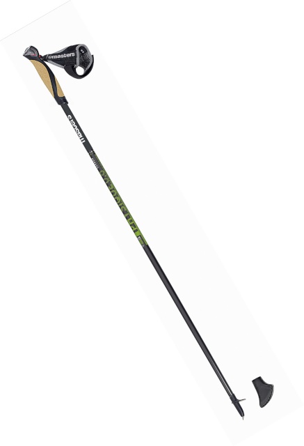 Masters matkakepid Physique 0,6 must+roheline käimiskepid