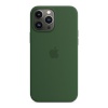 Apple kaitsekest iPhone 13 Pro Max Silicone Case with MagSafe - Clover