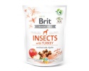 Brit kuivtoit koerale Care Dog Insects&Turkey- - 200 g