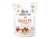 Brit kuivtoit koerale Care Dog Insects&Turkey- - 200 g