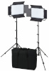 Nanlite stuudiovalgusti 1200CSA LED Double Kit