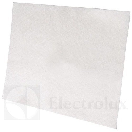 Electrolux mootori filter EF1