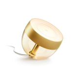 Philips valgusti Hue Iris Portable Lamp, Golden Special Edition