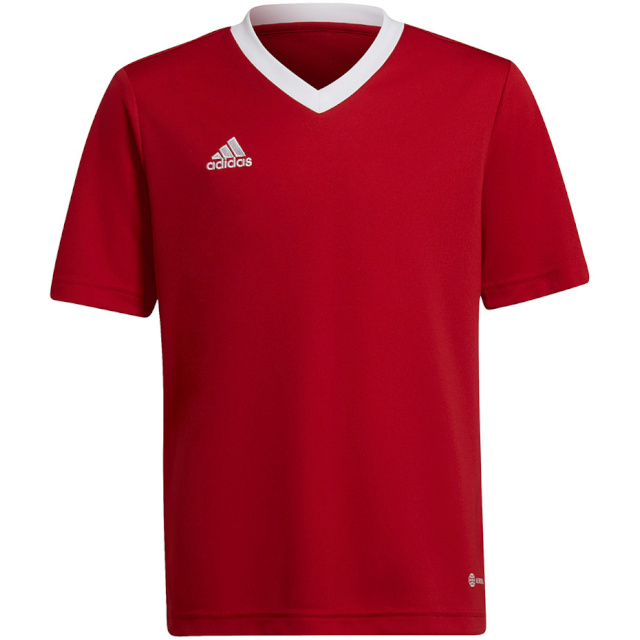 Adidas Teamwear T-särk lastele Entrada 22 Jersey punane H57496 164cm