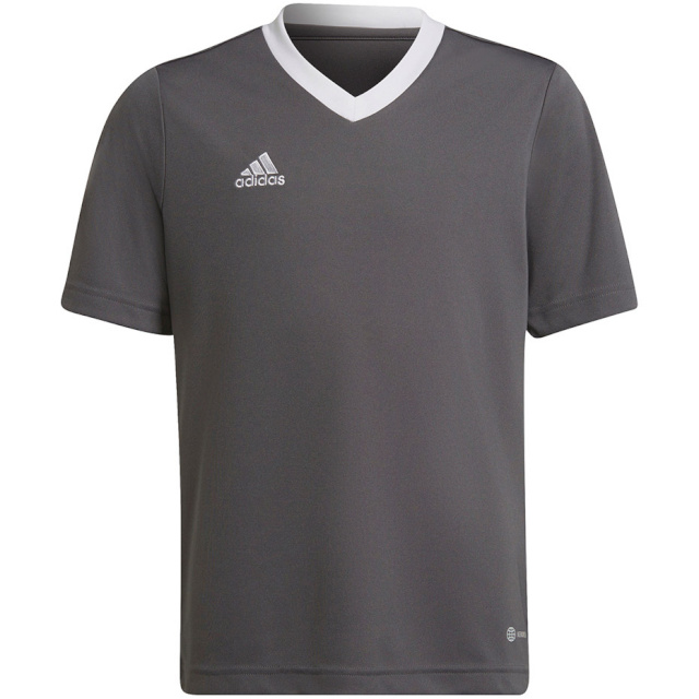 Adidas Teamwear T-särk lastele Entrada 22 Jersey hall H57499 140cm