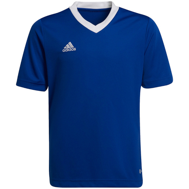 Adidas Teamwear T-särk lastele Entrada 22 Jersey sinine HG3948 128cm