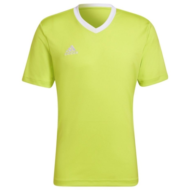Adidas Teamwear T-särk meestele Entrada 22 Jersey laimiroheline HC5077 , suurus S