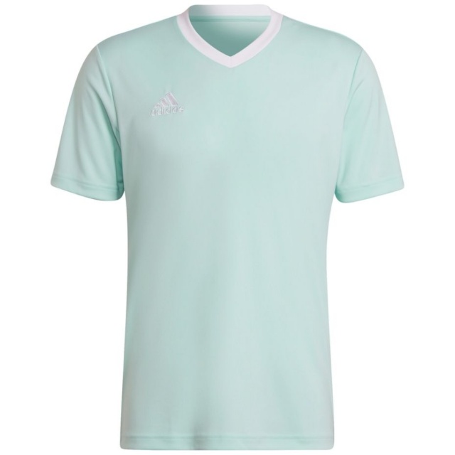 Adidas Teamwear T-särk meestele Entrada 22 Jersey mündiroheline HC5073 , suurus L