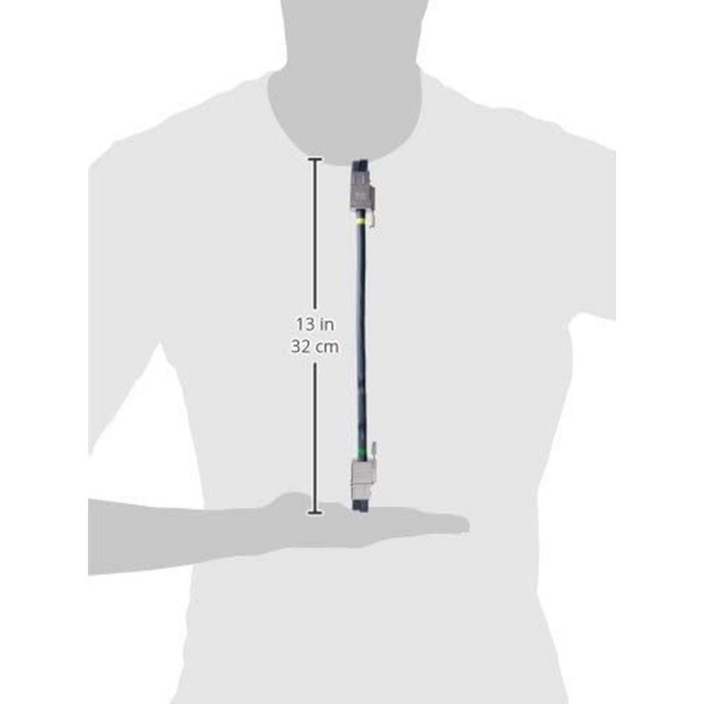 CISCO Voolujuhe CAB-SPWR-30CM=