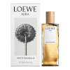 Loewe naiste parfüüm Aura White Magnolia EDP 50ml