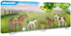 Playmobil klotsid Country 70682 Ponies with Foals