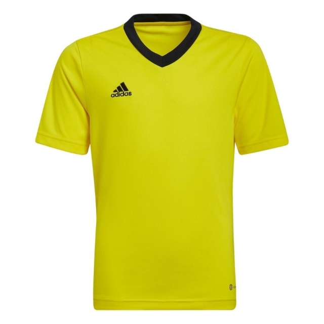 Adidas Teamwear T-särk lastele Entrada 22 Jersey kollane HI2127 164cm