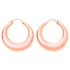 Rosefield naiste kõrvarõngad JBHR-J088 (3cm)