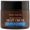 Alma Secret vananemisvastane kreem 118 50ml