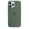 Apple kaitsekest Silicone case for iPhone 13 Pro Max with MagSafe - eucalyptus