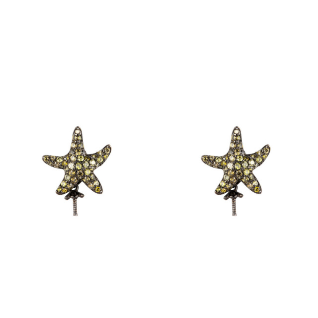 Lancaster naiste kõrvarõngad JLA-EAR-STAR-3