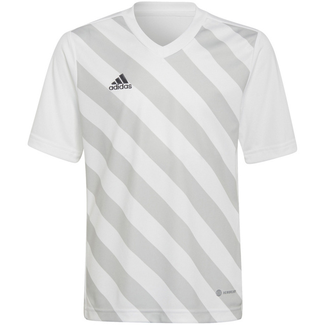 Adidas Teamwear T-särk lastele Entrada 22 Graphic Jersey valge-hall HF0120 116cm