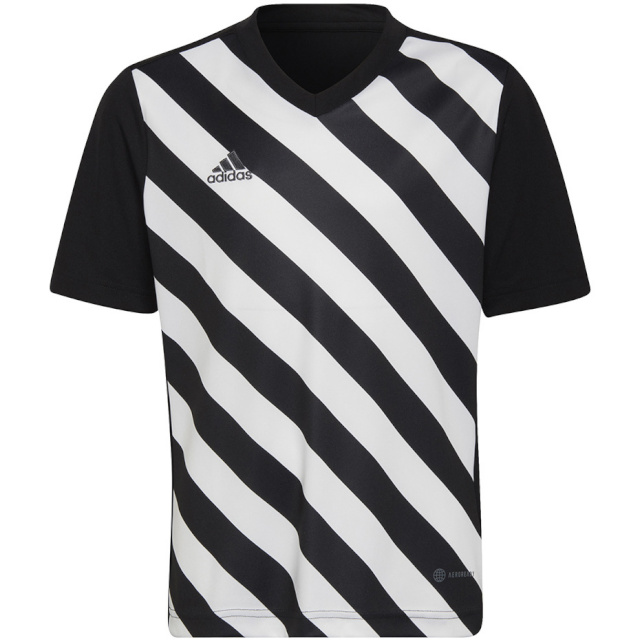 Adidas Teamwear T-särk lastele Entrada 22 Graphic Jersey must-valge HF0123 128cm