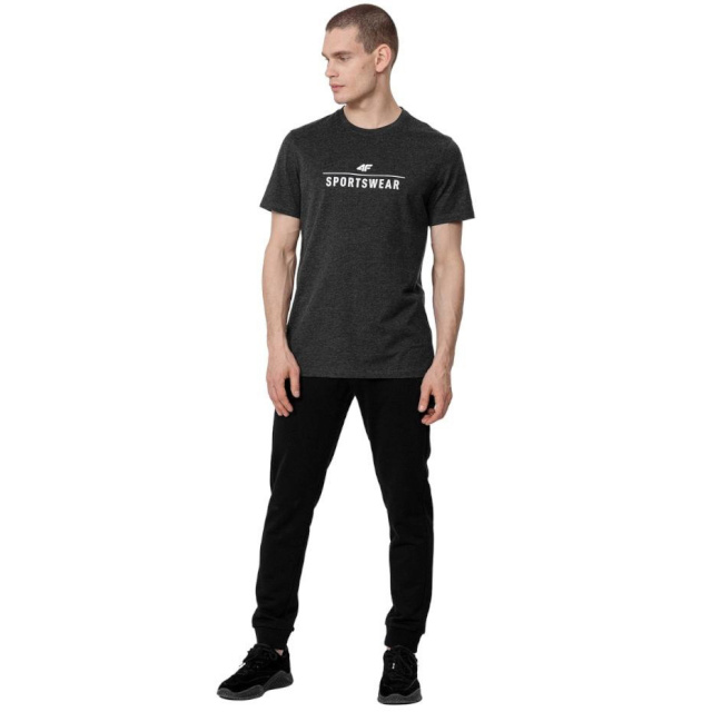 4F T-särk meestele tumehall H4L22 TSM354 23M suurus S