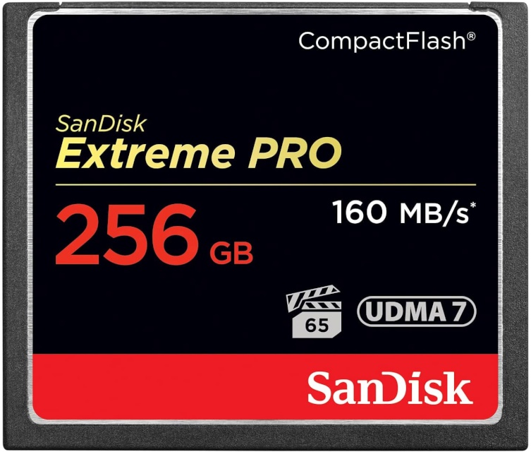 SanDisk mälukaart CF Extreme Pro 256GB 160MB/s