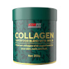 Iconfit Collagen Superfoods Inulin tikker-mustrasõstar 250g