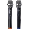 Lenco mikrofonid MCW-020BK, must