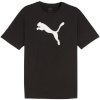 Puma T-särk meestele Team Rise Logo Jersey Cotton must 658705 03 suurus S