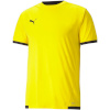 Puma T-särk meestele Teamliga Jersey kollane 704917 07 suurus S