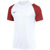 Nike Team T-särk meestele Dri-Fit Academy II valge-bordoopunane HV8160 102 suurus XXL