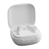 Earfun Air Pro 4i ANC TWS Earbuds (valge)