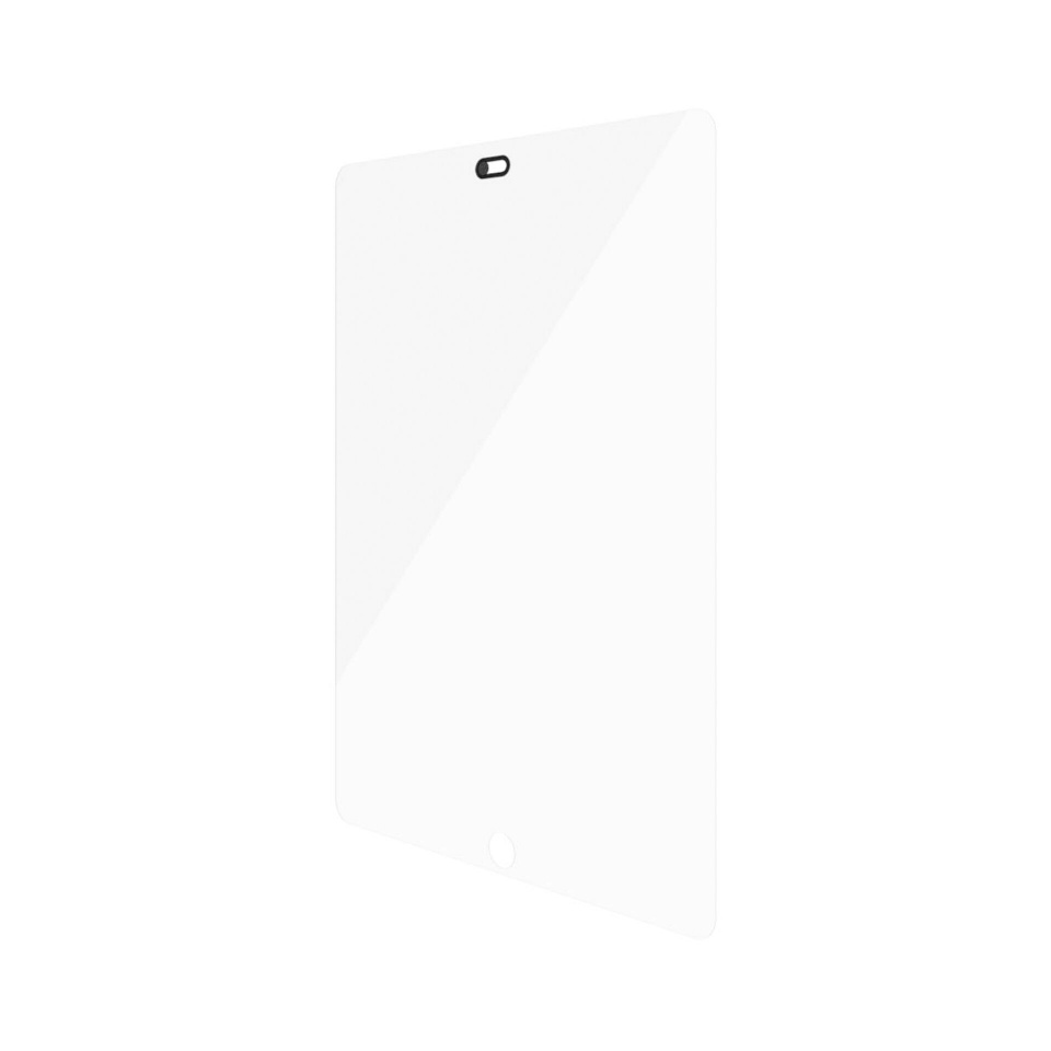 PanzerGlass for iPad 10.2 (19/20/21)CF CamSlider AB