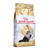 Royal Canin kuivtoit kassile Persian Adult Poultry, 2kg 