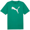 Puma T-särk meestele Team Rise Logo Jersey Cotton roheline 658705 05 suurus S