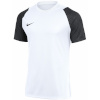 Nike Team T-särk meestele Dri-Fit Academy II valge-must HV8160 101 suurus M
