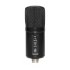 Stagg mikrofon SUSM60D - USB kondensaator